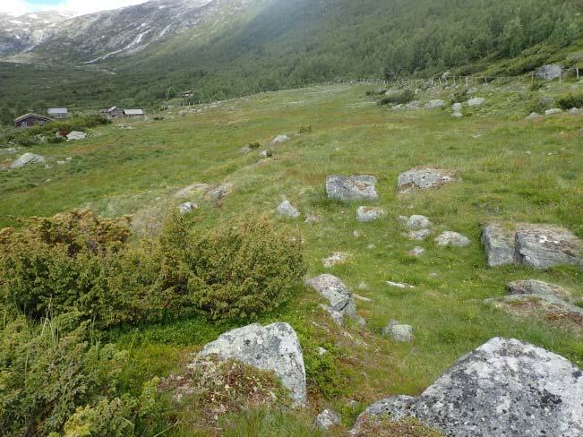 lagt inn og avgrensa i Naturbasen. Skildringa nedanfor er basert på synfaring 4. juli 2016, og utført av Pål Thorvaldsen og Bolette Bele, NIBIO i samband med utarbeiding av skjøtselsplan for området.