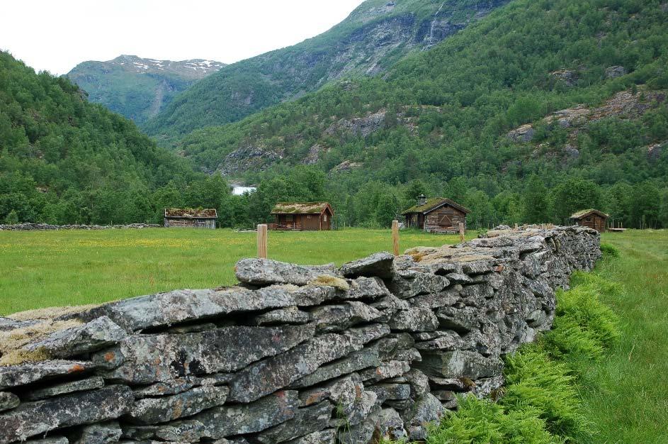 beitemarker. Også haustingsskogen, kor det vart lauva, styva og risa krev restaurering.