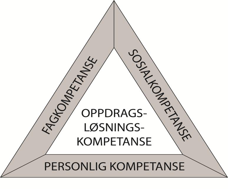 112 styrkebeskyttelse fordi han er lammet av usikkerhet eller frykt. Oppdragsløsningskompetanse er det fjerde og trolig det viktigste kompetanseelementet. Det ivaretar den handlende dimensjonen.