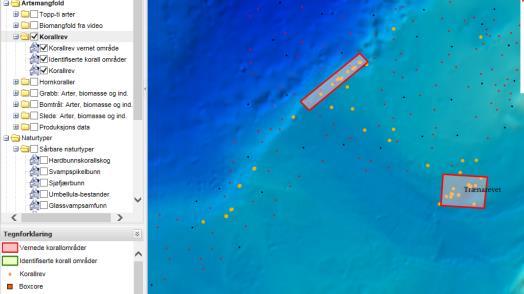 Nr Beskrivelse Illustrasjon Status 1 Korallpunkter (basisdata): Sammenstilt datasett med punkter som viser påviste koraller. (Inkludert data fra private survey og andre undersøkelser).