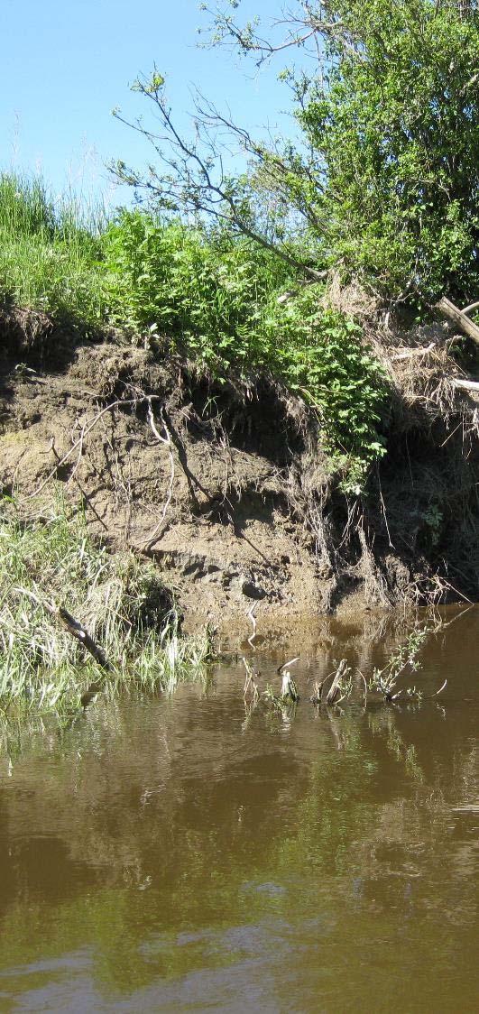 Kanterosjon påvirkes av Hydrologi (herunder variasjoner i vannføring, hvor ofte vannstanden stiger,) Hvor fuktig jorda i kantsonene er Temperatur og fryse tineepisoder