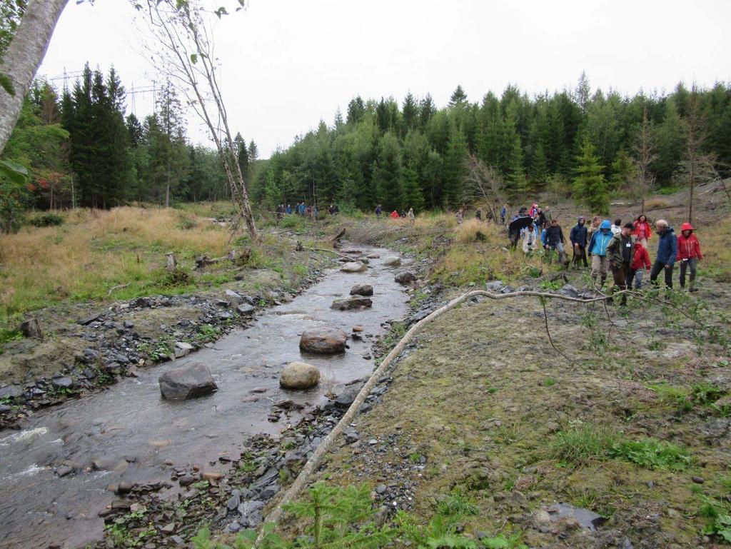 Gråelva i Trøndelag: Har nesten bygget opp elva