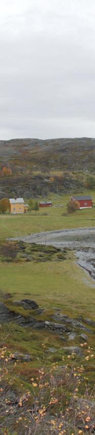 som innmarksbeite i produksjonstilskuddsordningen. Tilskuddet kan bidra til vedlikehold av gjerder og tynning av skog for å bedre beitekvaliteten.