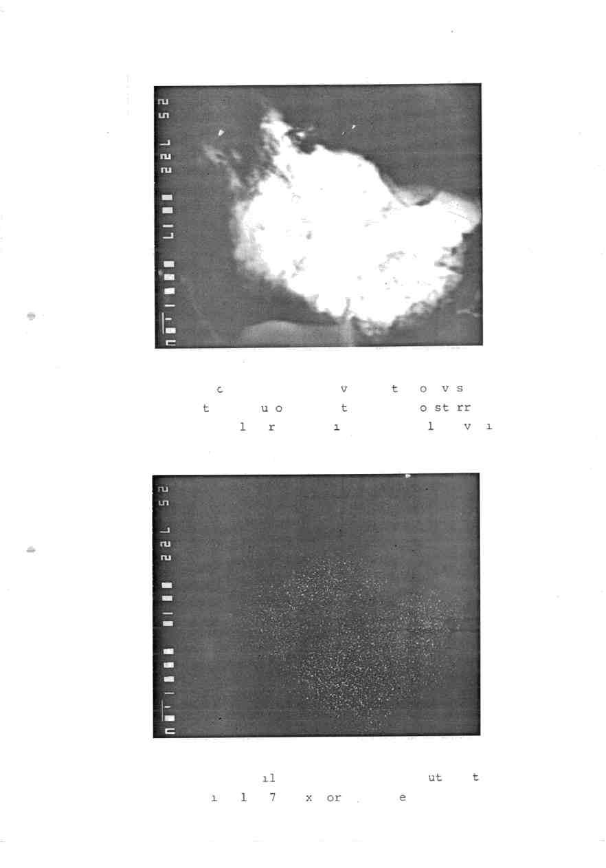 - 9-1 ffil 11/01 Fig.