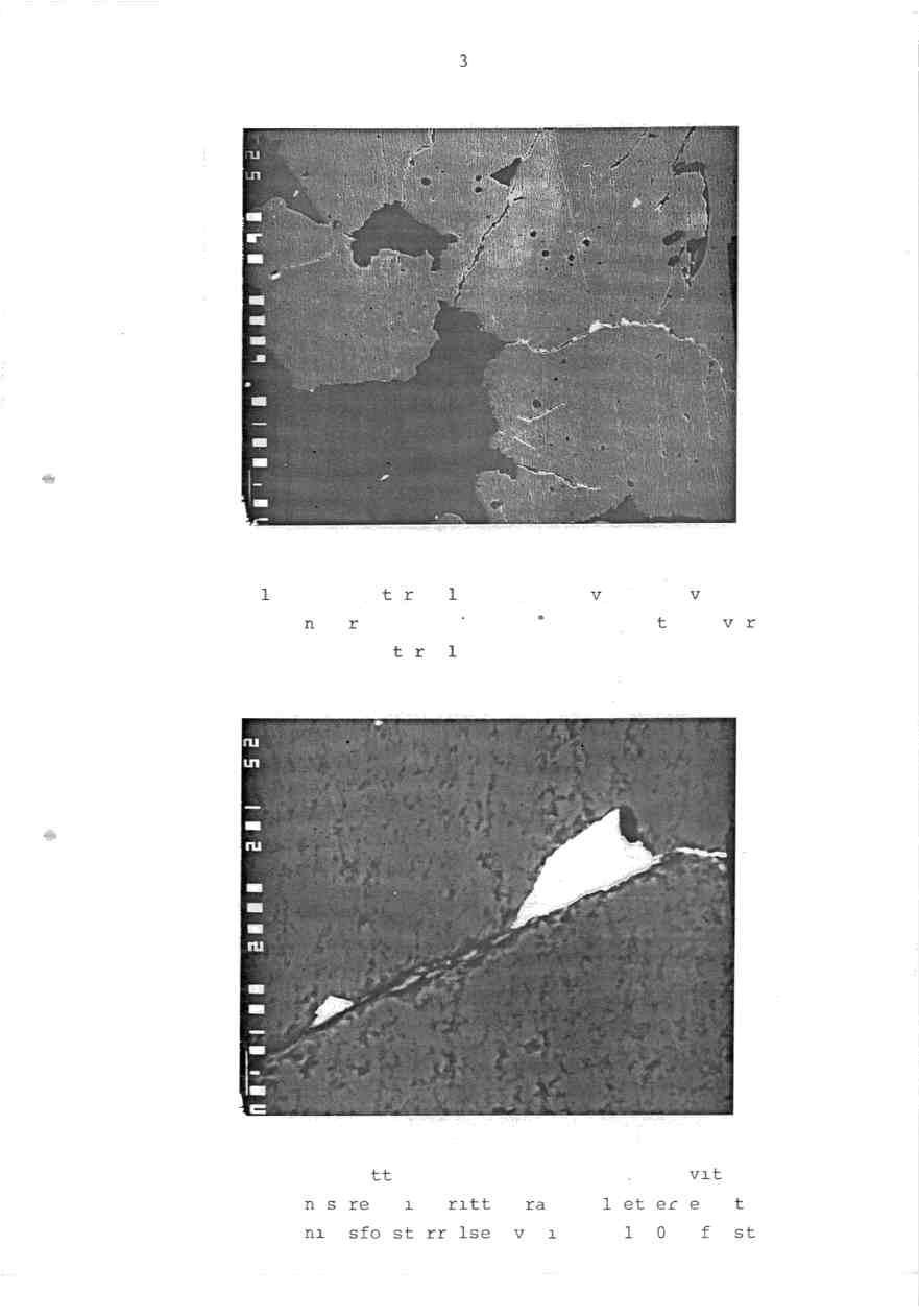 - 3 - Fig. 1: Backscatter bilde med ged.