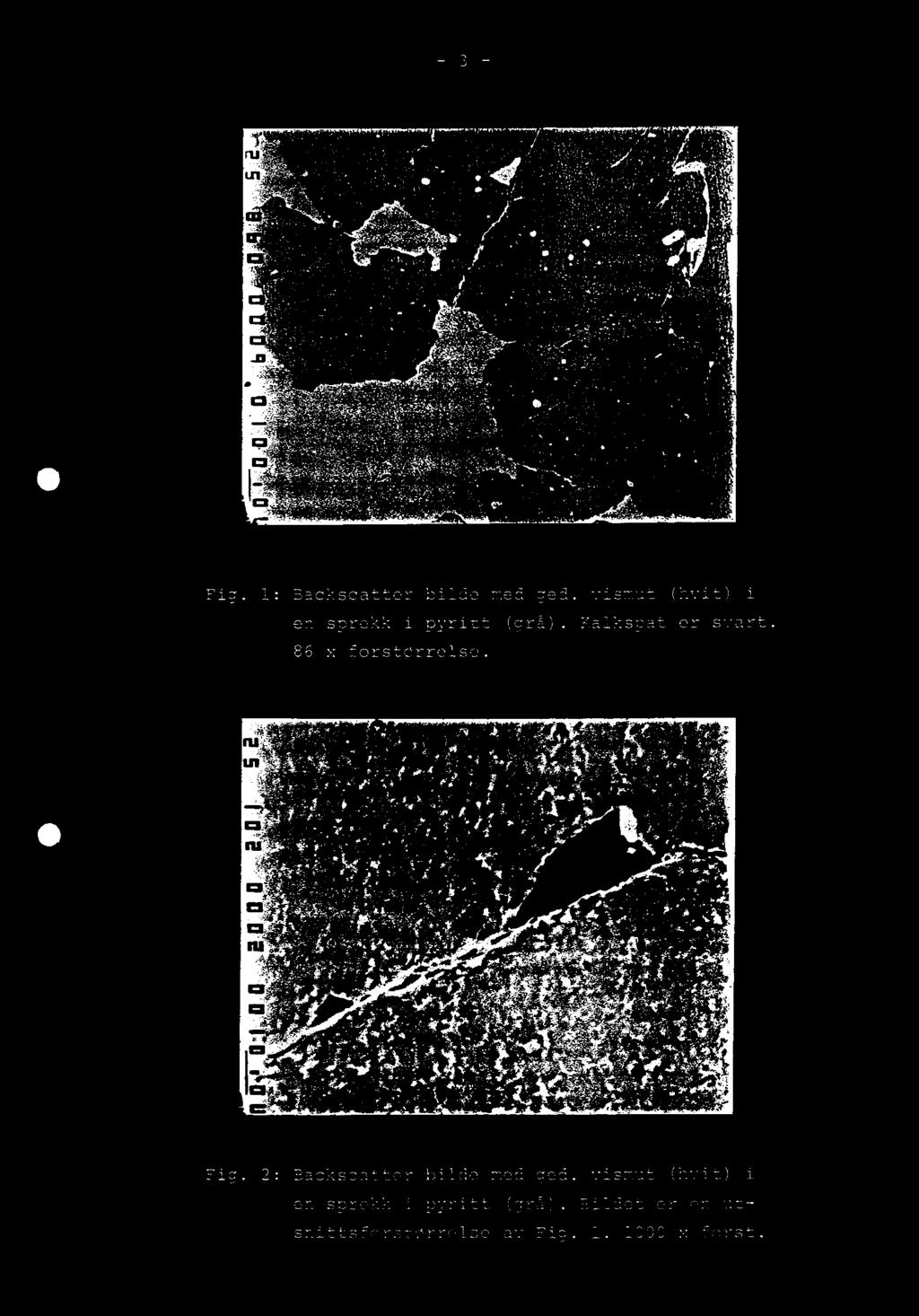 86 x forstørrelse. Fig. 2: Backscatter bilde med ged.