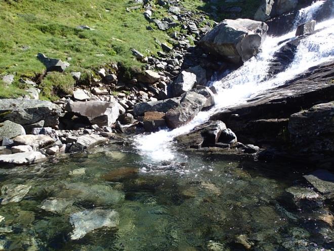 juli 2002 var larver og pupper av fjærmygg fullstendig dominerende i mageinnholdet til ørret fra Dravladalsvatnet, men det ble også funnet en del hoppekreps (Lehmann & Wiers 2004).