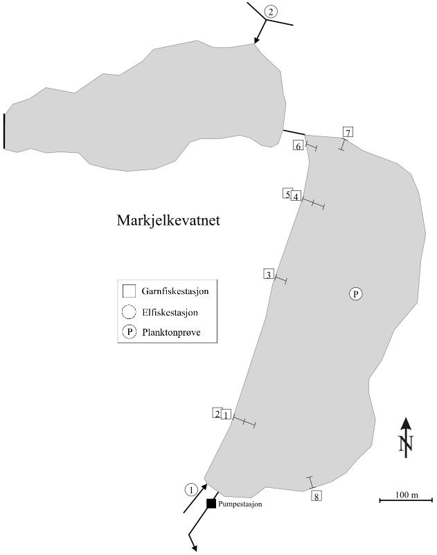 august 2013 med fire enkle fleromfars bunngarn i dybdeintervallet 0-8 m, og to bunngarnslenker á to garn i dybdeintervallene 0-11 m (garn 1-2 i figur 21) og 0-23 m (garn 4-5).