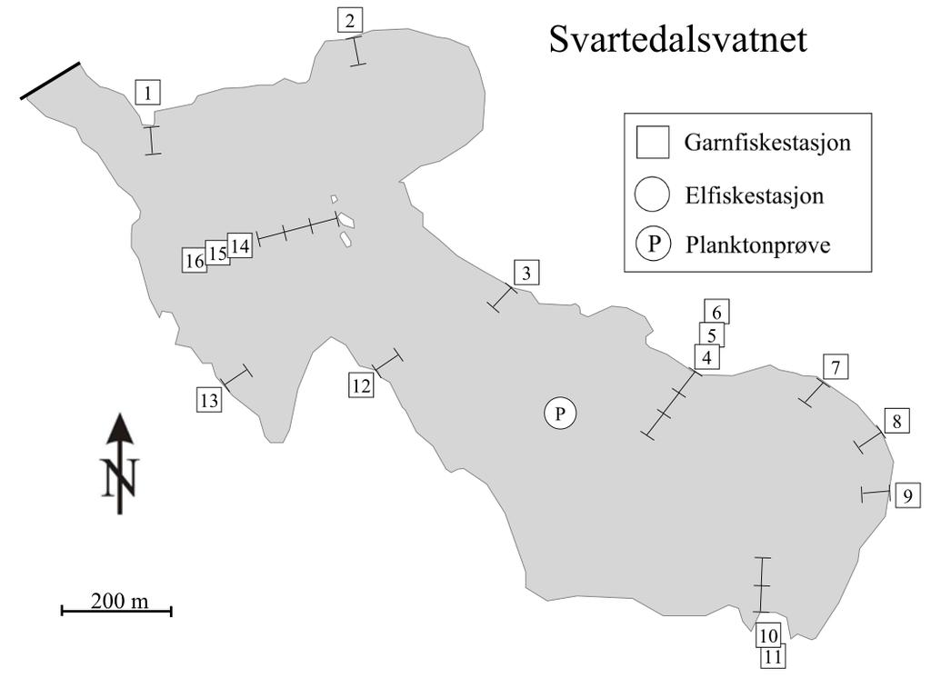 Figur 26. Vannstand i Svartedalsvatnet i perioden 1. januar 2003 til 8. september 2013. Forventet oppvandrings- og gyteperiode for ørret fra 20. september til 25. oktober er markert med gult.