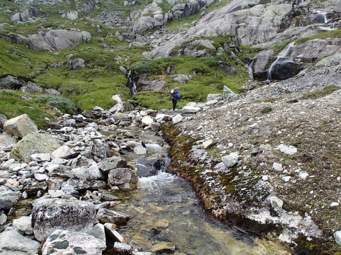 - 9. august 2013. Antall fisk fanget i hver aldersgruppe er markert med siffer over grafen. Det ble tatt mageprøver av 11 av fiskene fanget ved garnfisket. Overflateinsekter utgjorde ca.