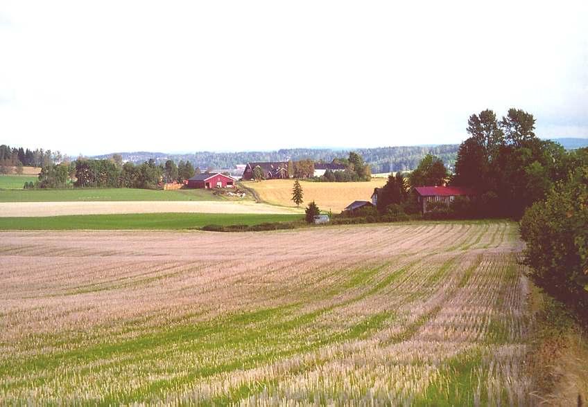 Åker i stubb Vilkår: Tilskudd kan gis til korn, oljevekster, erter, åkerbønner, grønngjødsling og grønnfôrvekster sådd med liten radavstand og der en bare høster overjordiske deler.