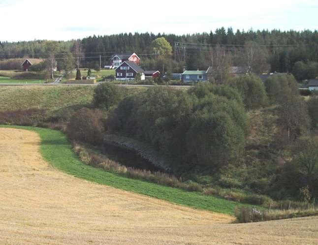 Flerårige erosjonsforebyggende grassoner i åpen åker Vilkår: Tilskudd gis for varig grasdekke som er minimum 5 m breit - i forsenkninger og i striper på tvers av fallet inne på jordet.