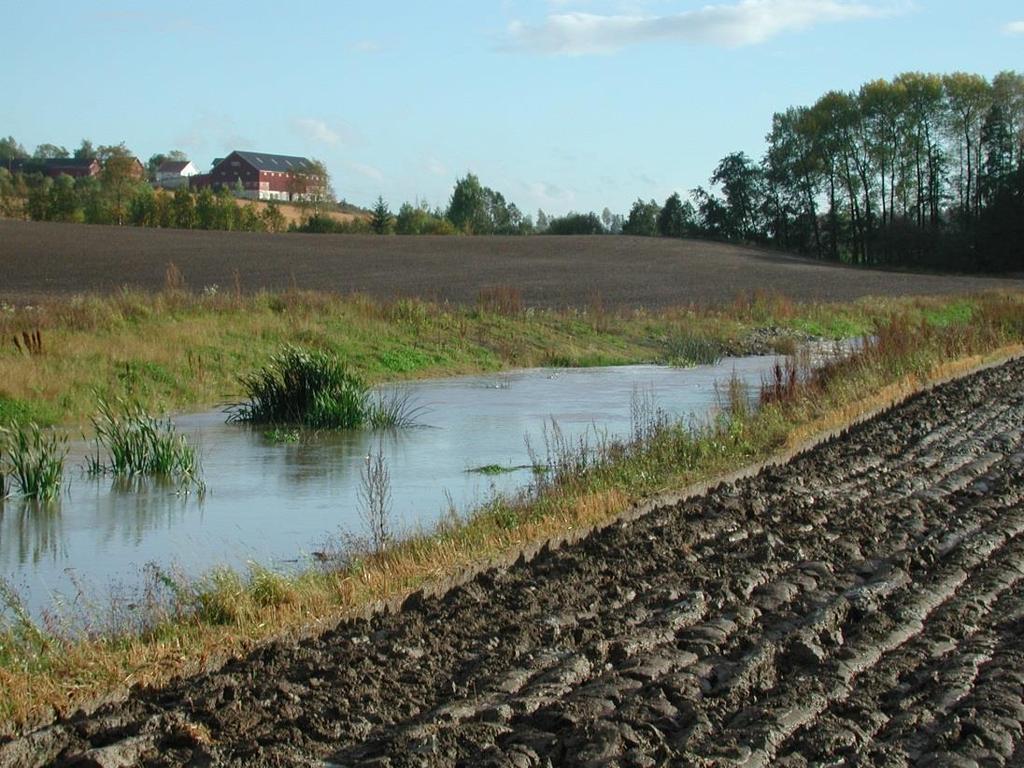 Fangdam Foto: Bioforsk Fangdamstørrelse og