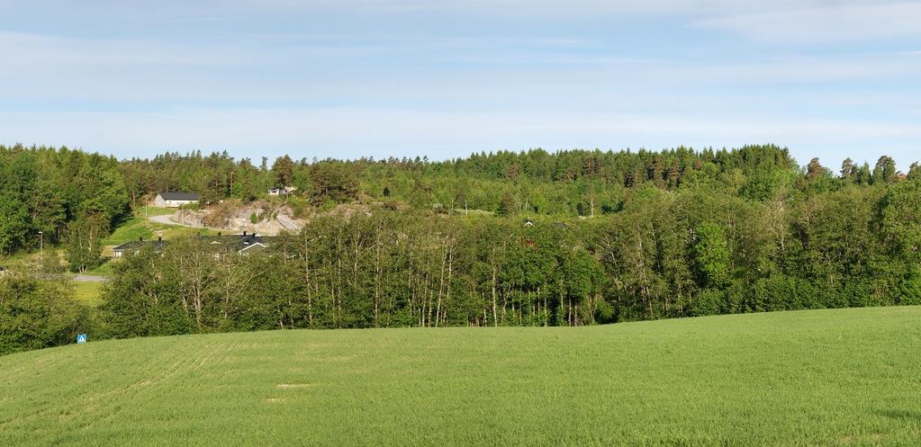 Del av Lille Edet Plan nr.: G-690 Figur 5. Fotografi tatt fra gartneriet, 400 m øst for planområdet. Figur 6. Fotografi tatt fra Billebakken, 200 m nord for planområdet.