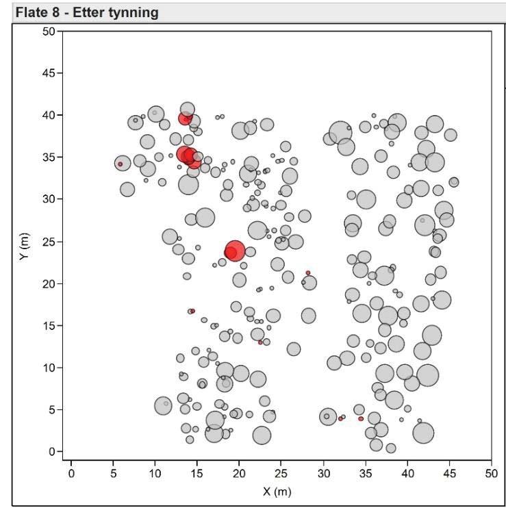 Figur 9. Trærs plassering på flate 5.