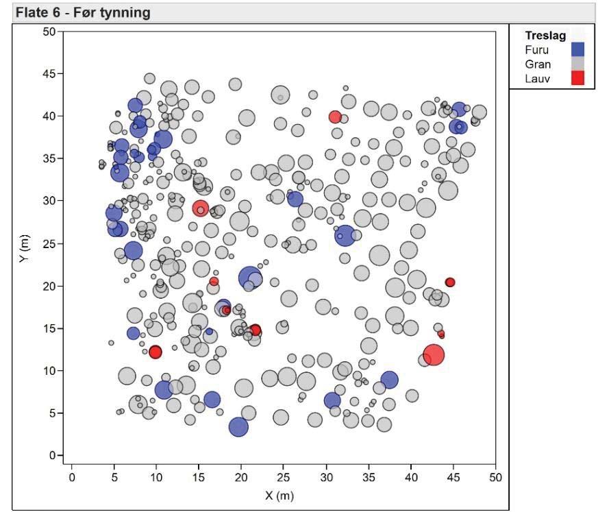 Figur 11. Trærs plassering på flate 6.