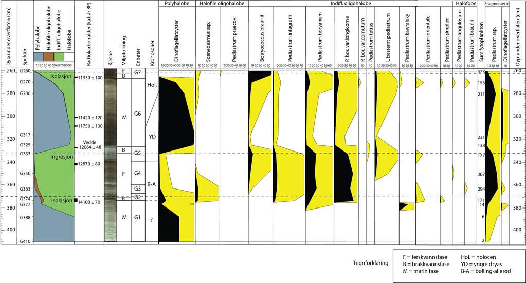 Kapittel 4 Resultater og tolkning Figur 4.8: Fytoplanktondiagrammet fra Gunnarstadvatnet viser den relative fordelingen av fytoplankton som ble identifisert i dette arbeidet.