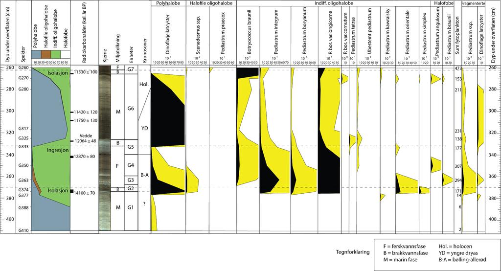 Kapittel 4 Resultater og tolkning Figur 4.9: Influx-diagrammet fra Gunnarstadvatnet viser produksjonen av fytoplankton oppover kjernen. Enhetene G1-