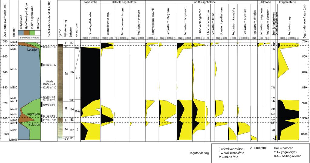 Kapittel 4 Resultater og tolkning Figur 4.16: Fytoplanktondiagrammet fra Boknamyr viser den relative fordelingen av fytoplankton som ble identifisert i dette arbeidet.