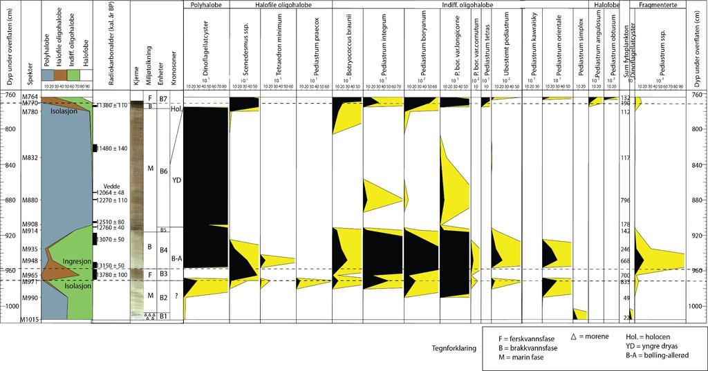 Kapittel 4 Resultater og tolkning Figur 4.17 viser influx-diagrammet fra Boknamyr. Diagrammet viser produksjonen av fytoplankton gjennom. Enhetene M1-7 er beskrevet i kapittel 4.2.