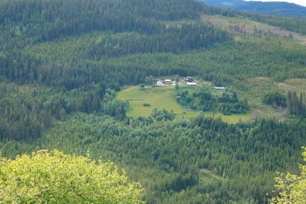 skjøtselsplan). Slåttemarka har verdi svært (A). Foto: Geir Høitomt, 12.06.2016. Figur 6.