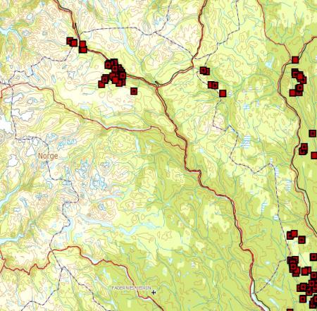 I slike år er bestandstallene mer usikre. Brå skravur er jerveprioritert område.