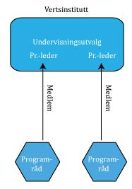 representasjon i henhold til en «fordelingsnøkkel». Disse medlemmene utnevnes av de involverte instituttene. Programrådsleder oppnevnes av vertsinstituttet for programmet.