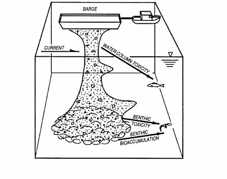 5 Figur 2.2. Illustrasjon av massenes oppførsel ved dumping fra splittlekter. Massene synker relativt raskt ned på sjøbunnen hvor det meste deponeres. Fra EPA (2004).