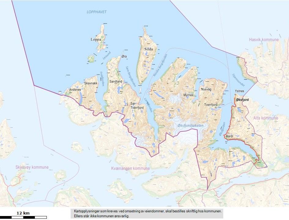 1. GENERELL INFORMASJON Loppa kommune er en kystkommune med ca 1 087 innbyggere. Tjenesteproduksjonen overfor kommunens innbyggere er organisert med en ledergruppe bestående av Rådmann, Ass.