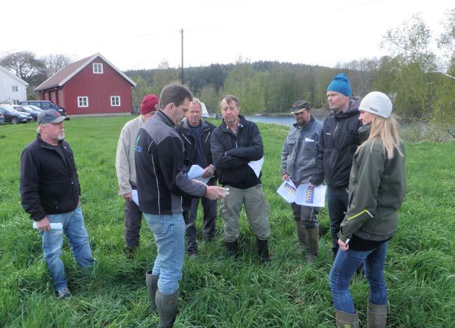 / Bioforsk FOKUS 8 (1) Vekstforhold og avlingsprognoser for 2012 Etter gjenleggsåkre med flat legde og mye kjøreskader under innhøsting (bilde 1) trengte gjenlegga en lang og mild høst for å komme