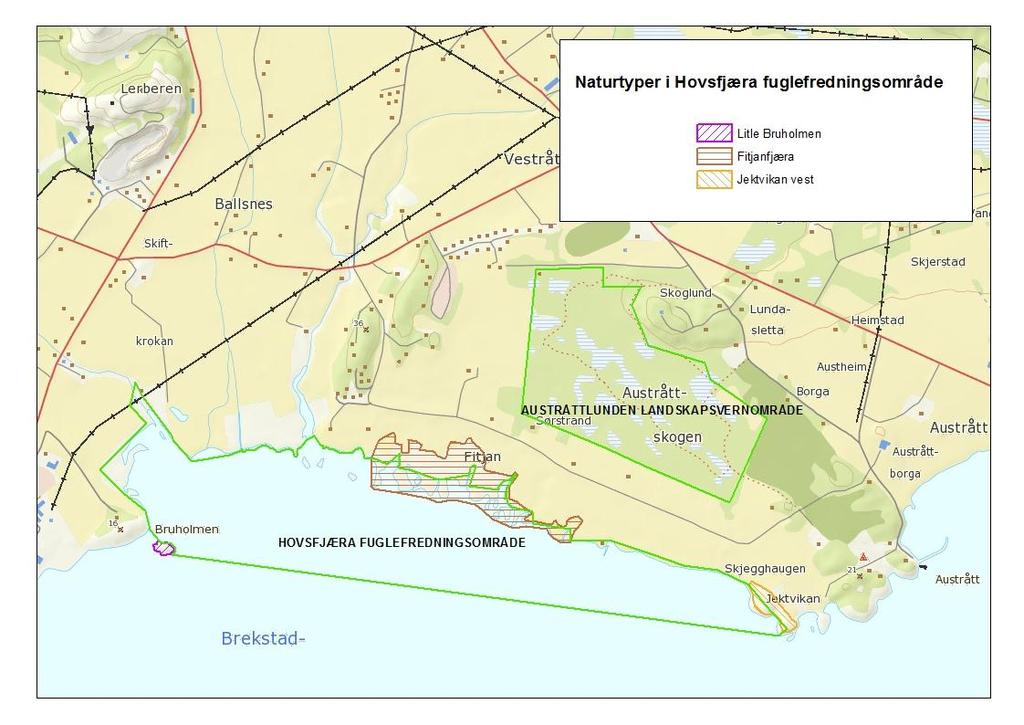 Naturtyper Tabell 3 Tabellen viser rødlistede naturtyper og deres arealer. Naturtype Status Areal Stedfesting Kommentar] daa Strandeng og strandsump NT 48 BN00003937 Hevdet med beite, noe gjengroing.