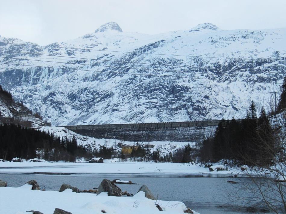 Ringedalsdammen er en gravitasjonsdam i betong, forblendet med håndhugget granitt. Dammen sto ferdig i 1928, med en lengde på 520 m og største høyde på 33 m.