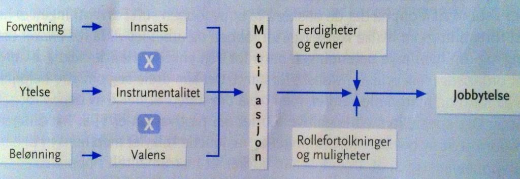 handling kommer som et resultat av rasjonelle bevisste valg, de går ut i fra at den mest sentrale driveren av motivasjon. Nedenfor skal vi ta for oss kognitiv forventningsteori og målsettingsteori.