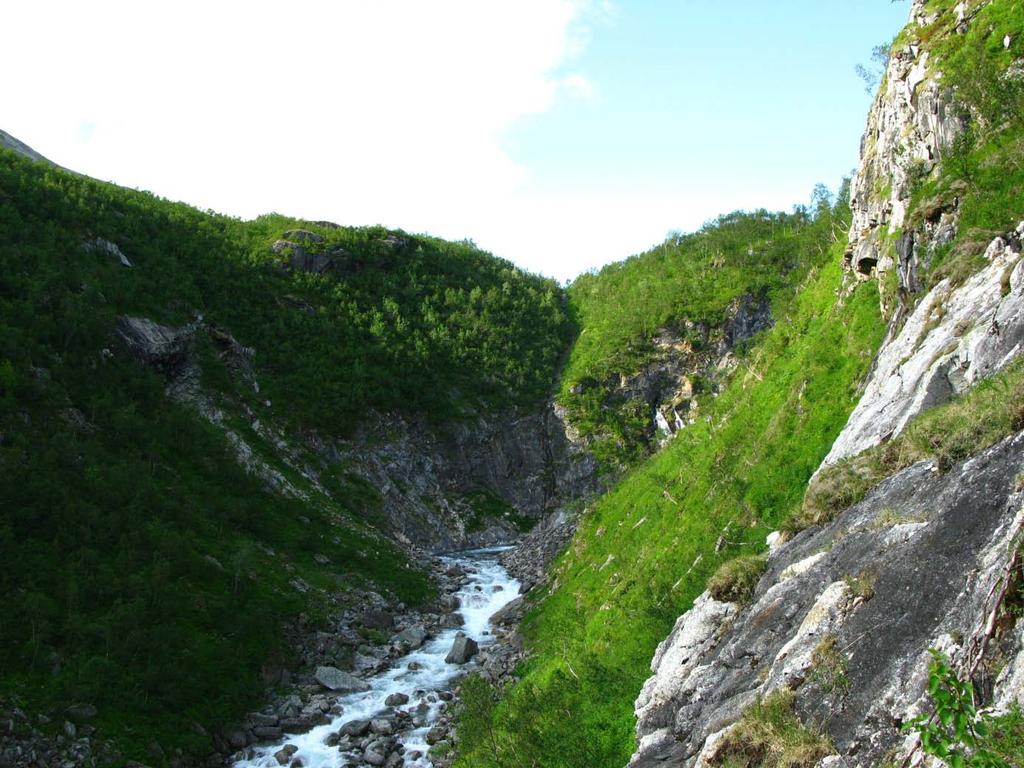 - Naturfaglige registreringer av bekkekløfter i Buskerud, Sogn og Fjordane, N-Trøndelag, Nordland og Troms 2008-0 - Almdalselva (NO): På marmor (dels også på annen kalkberggrunn) finnes en del