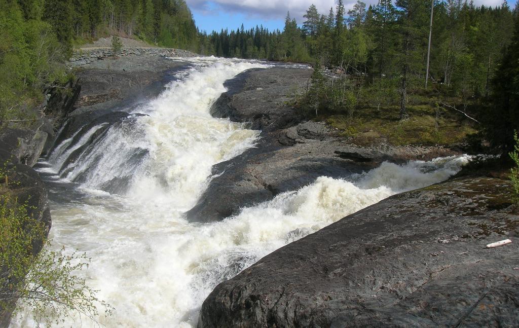 Elgrapport for Nord - Trøndelag fylkeskommune