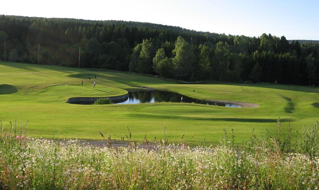 Natur & næring Prosjekt nr 1: VELVET GREEN: Winter hardiness and management of velvet bentgrass (Agrostis