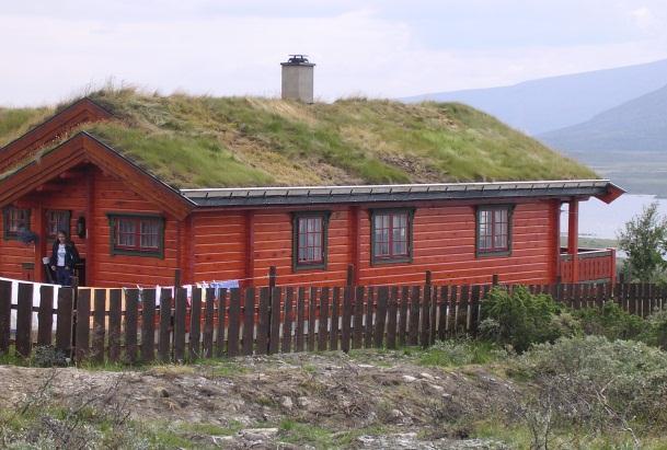 naturgrasbaner i Norge Ekstensive grøntanlegg Veiskråninger Hyttetak og - tomter Alpinbakker