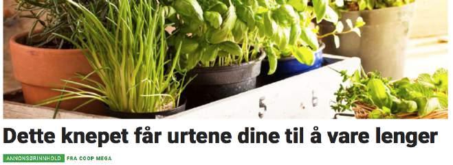 4. b) Urter dagbladet,