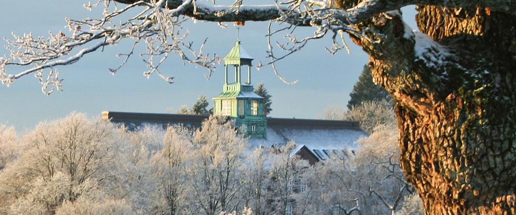 DET LEVENDE UNIVERSITET UNIVERSITETET FOR MILJØ- OG BIOVITENSKAP UMBs resultater av strategisk satsing på internasjonalisering Har bidratt til stor studentsøkning og konkurransefortrinn Har bidratt