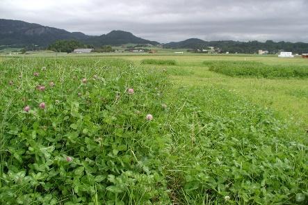 På sluttseminaret vil det bli lagt fram analyser av avlingspotensial basert på våre naturgitte forhold, og muligheter for bedre utnyttelse av dette potensialet gjennom forbedrede agronomiske tiltak.