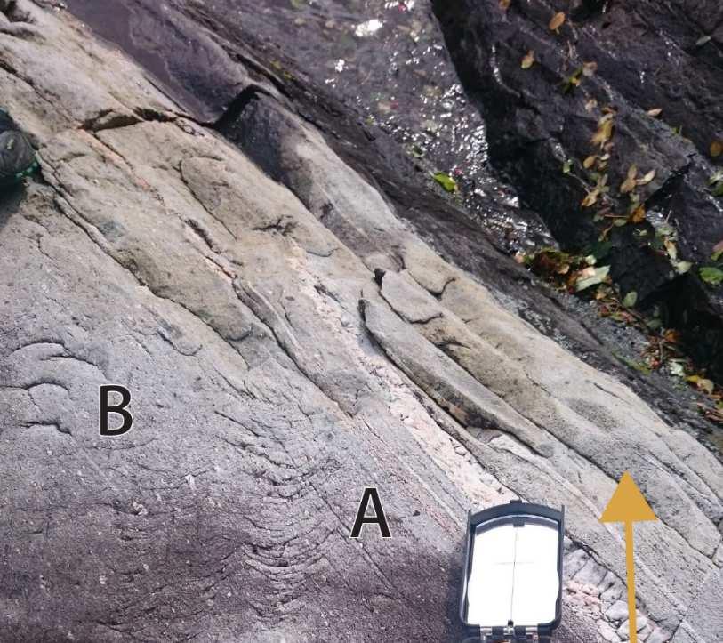 Kapittel 2 Geologisk og glasial historie 2.3.3 Sigdbrudd Et annet bruddmerke som dannes i bergoverflaten er sigdbrudd.