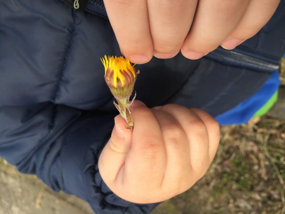 Dette gjør vi blant annet ved å legge til rette for at barna skal få undersøke, oppdage og forstå sammenhenger, utvide perspektiv og få ny innsikt.