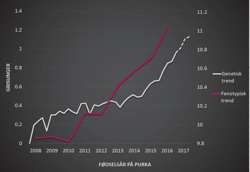 En fantastisk genetisk og fenotypisk utvikling Ingen skal komme å si at den genetiske fremgangen ikke kan måles i felten! Vi har i den senere tid fått flere og flere komplekse egenskaper i avlsmålet.