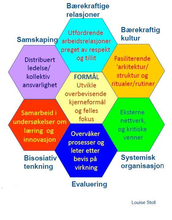 Skolelederne må inneha relevant kunnskap om hva som gir størst læringsutbytte for elevene og kunne anvende denne. Nyere klasseroms forskning, tilstrekkelig kunnskap om undervisning og læring m.m. samt at denne kunnskapen må kunne brukes for å ta rette avgjørelser i forhold til bl.