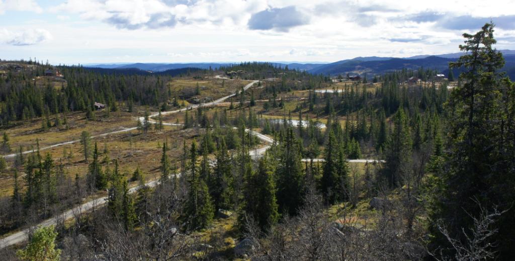 Naturlandskap og grønnstruktur Skildre landskapet, lokale særtrekk, landskapsbilde og