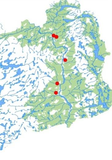 Gunleifjell, Ytre Ramse, Eppeland m/selberg og Støylen, Vehus, Berås fellesbeite, Vimme,