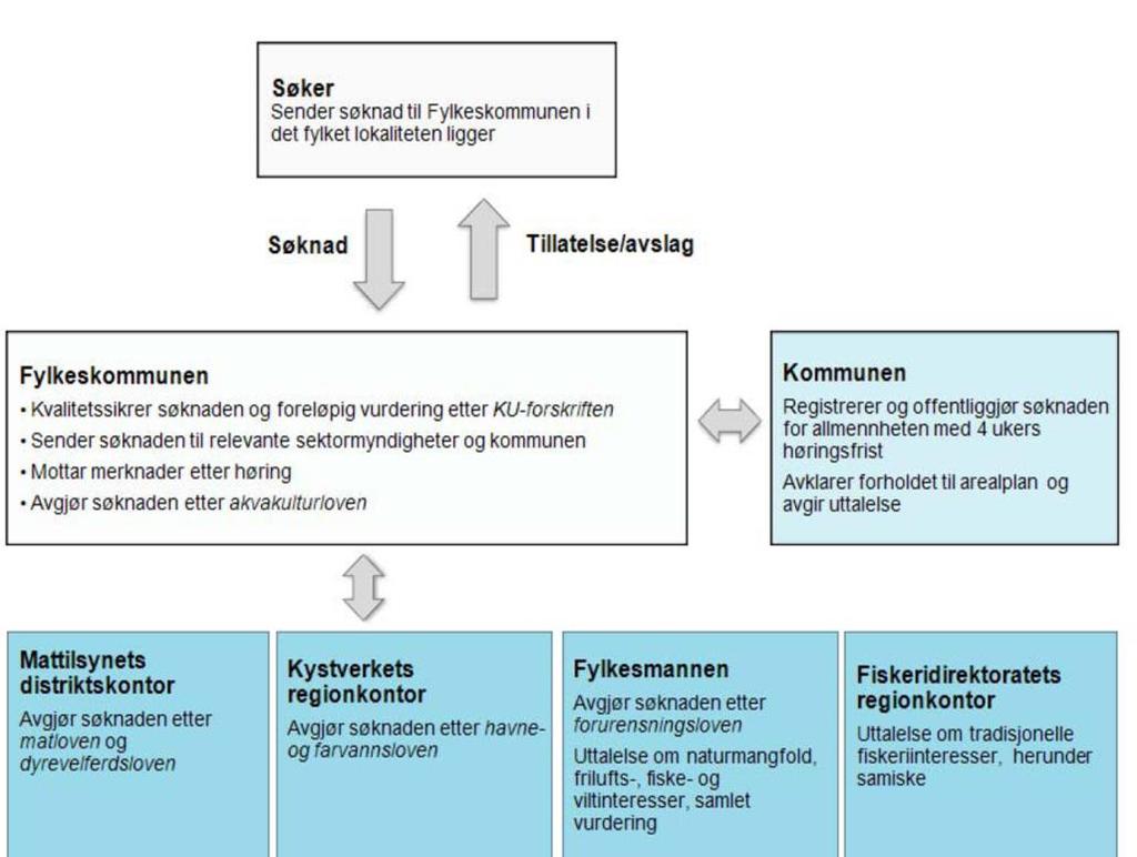 Saksgongen for å