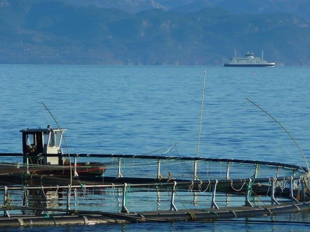 eksponerte områder. Havbruksnæringen produserer det dobbelte volumet i 2020 i forhold til 2010, med same eller mindre miljøpåvirkning per kg produsert fisk enn i dag.