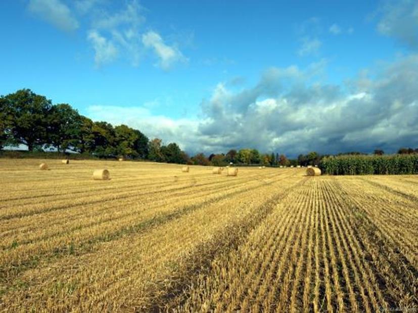 brukes hovedsakelig til produksjon av korn, gras,