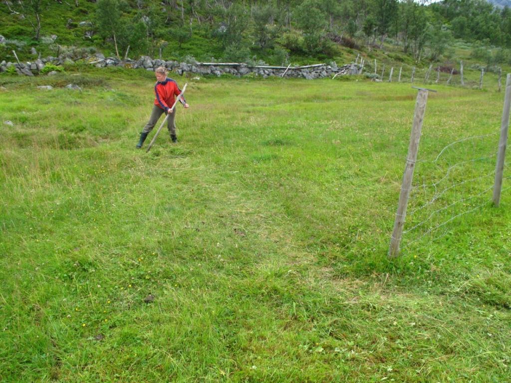 SKJØTSELSPLAN FOR JELSETRA I TROLLHEIMEN LVO